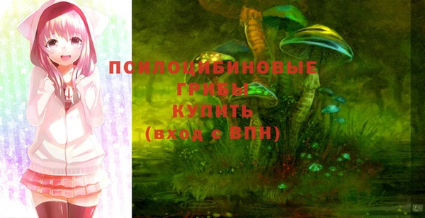 таблы Гусиноозёрск