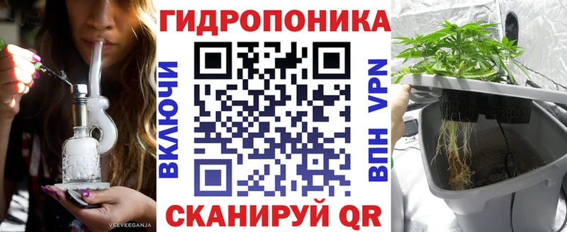 магазин  наркотиков  Михайловск  Шишки марихуана сатива 